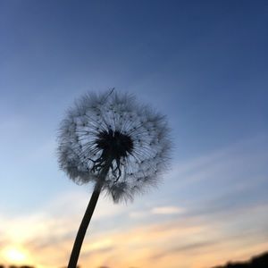 Meet your Posher, Tori